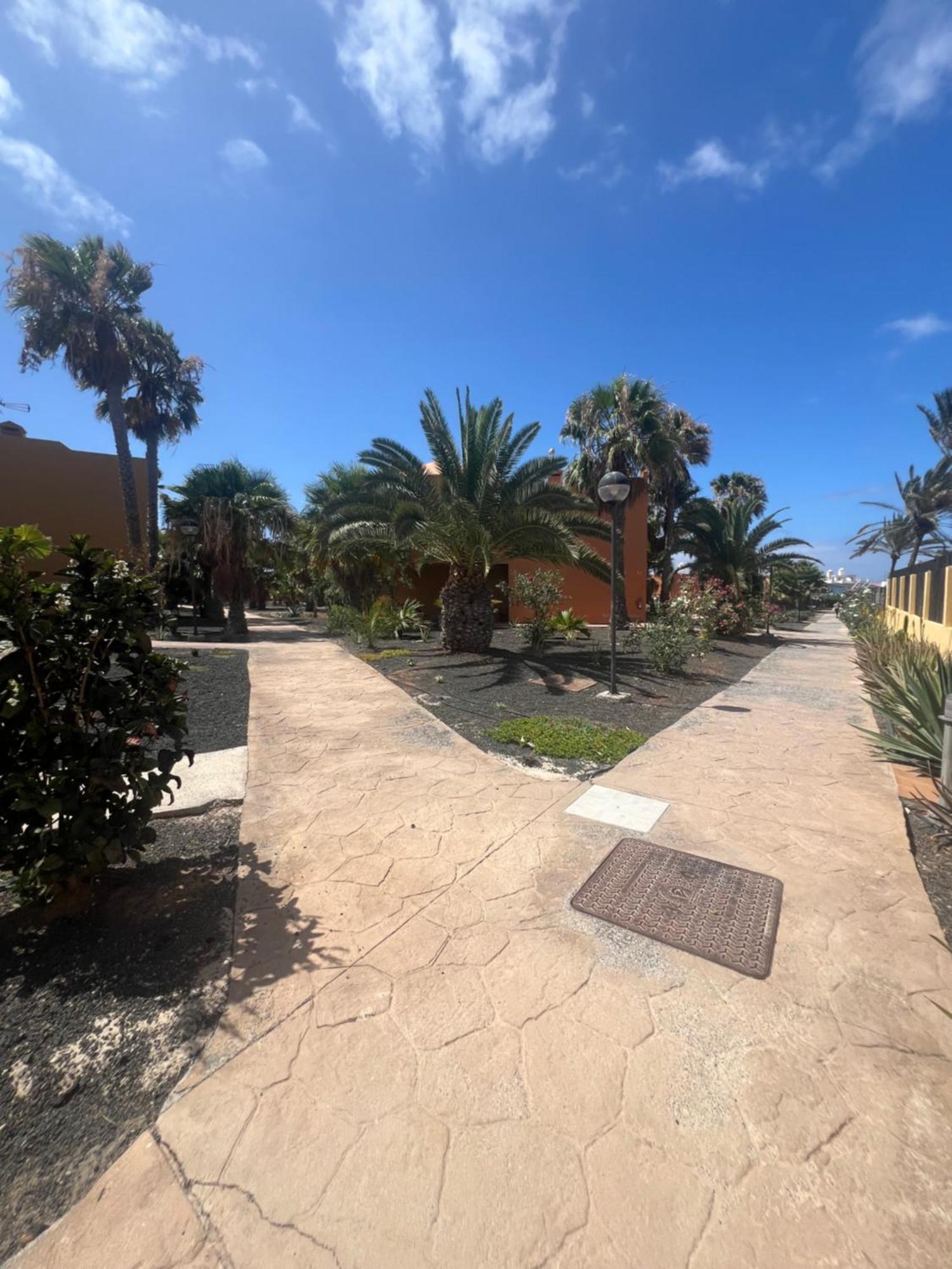 Paraiso Del Mar Corralejo Eksteriør billede