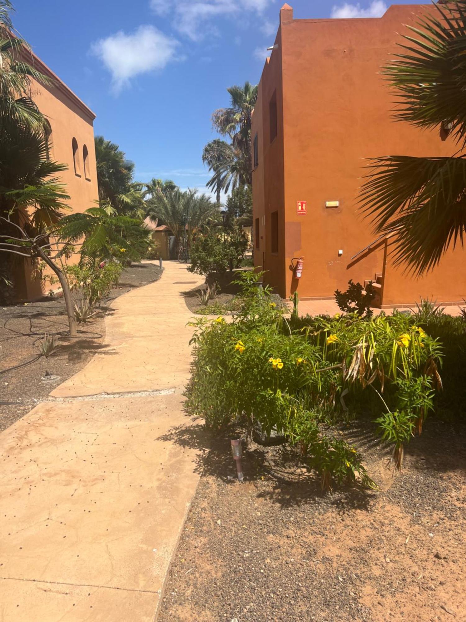 Paraiso Del Mar Corralejo Eksteriør billede